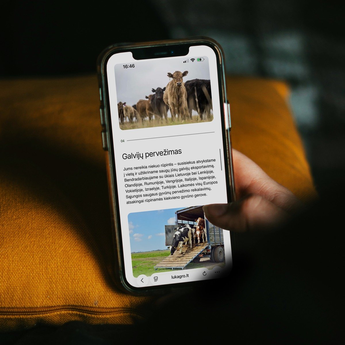 Lukagro – interneto svetainė ir reklama