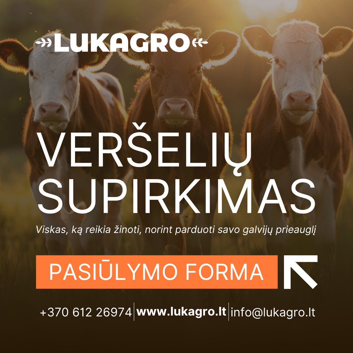 Lukagro – interneto svetainė ir reklama