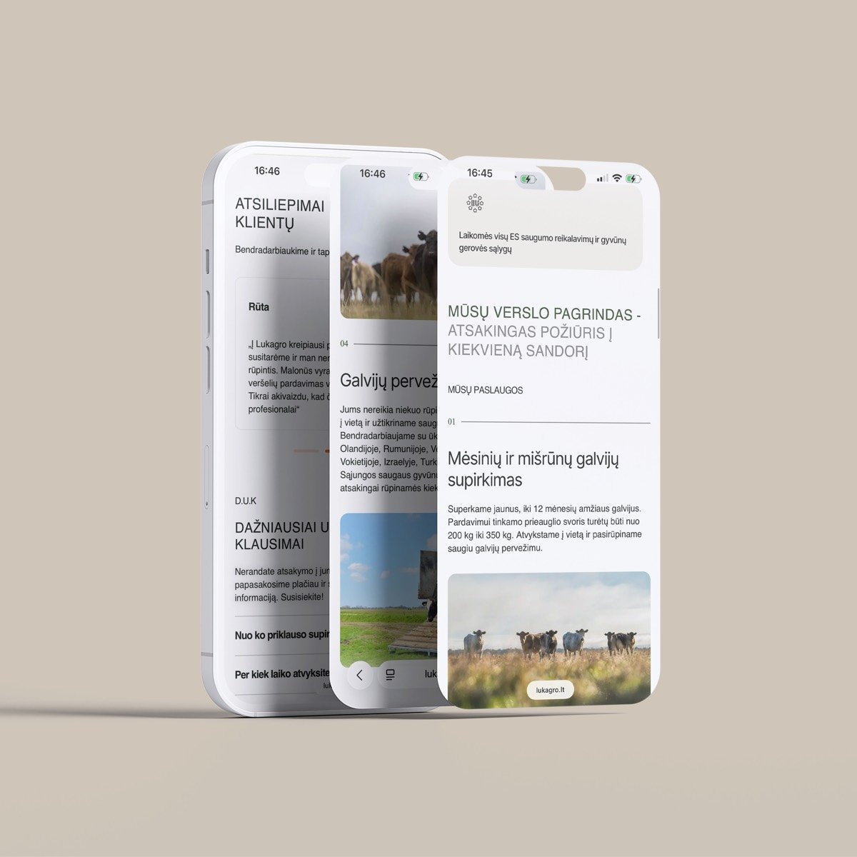 Lukagro – interneto svetainė ir reklama