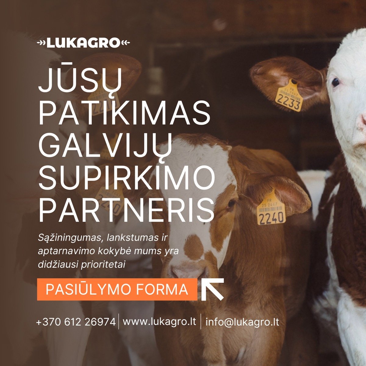 Lukagro – interneto svetainė ir reklama